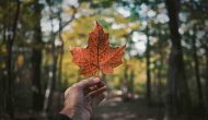 Special Events in Canada
